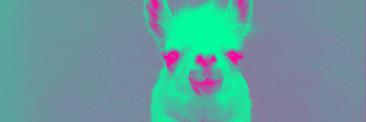 EngyHNasr's profile banner image