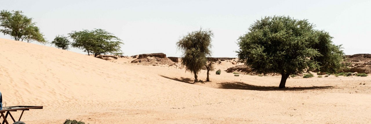 BoubaleSamba's profile banner image