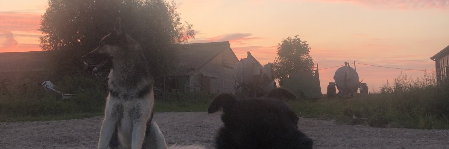 AstridDemol's profile banner image