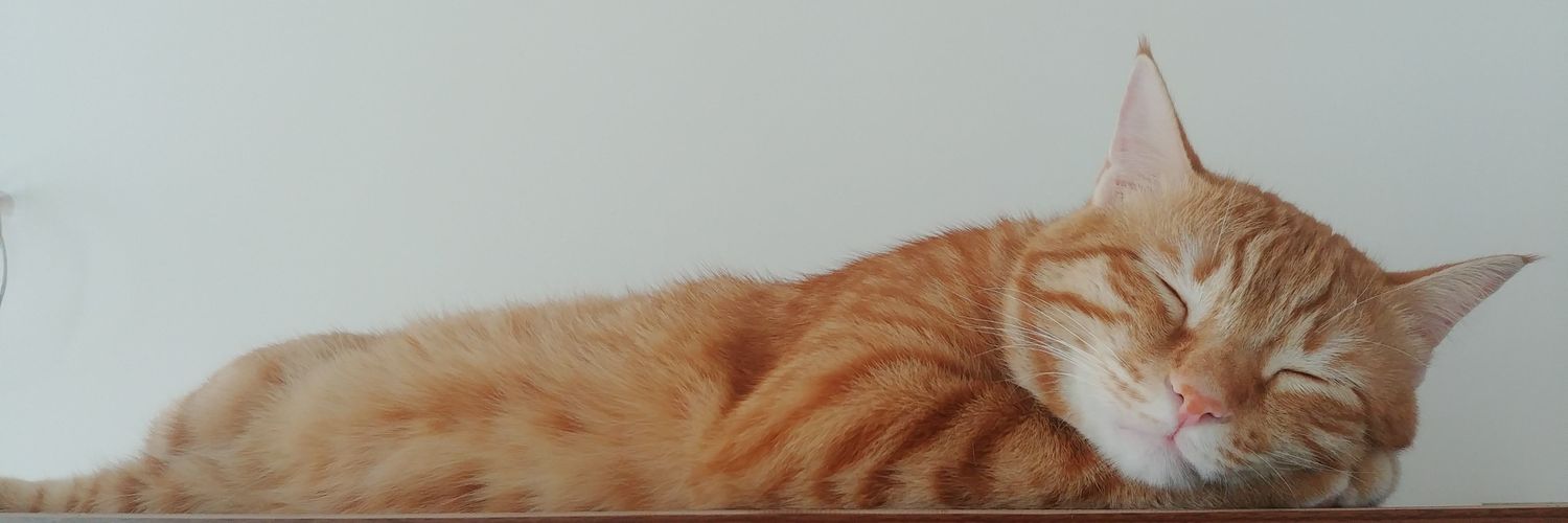 me2 banner