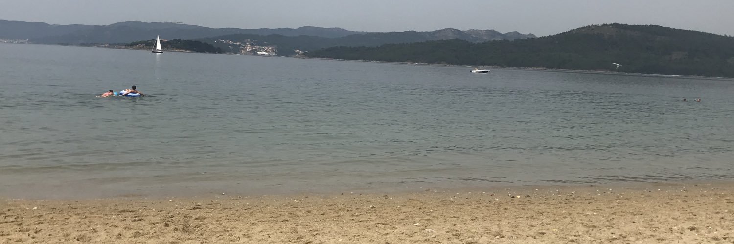 picheleiro's profile banner image