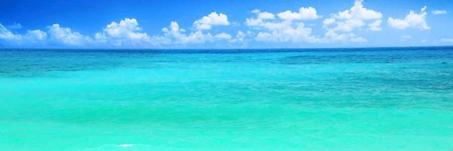 AlexAppleton2's profile banner image