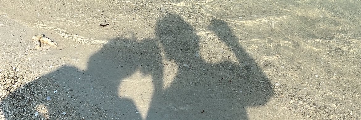 mirnawtkstn's profile banner image