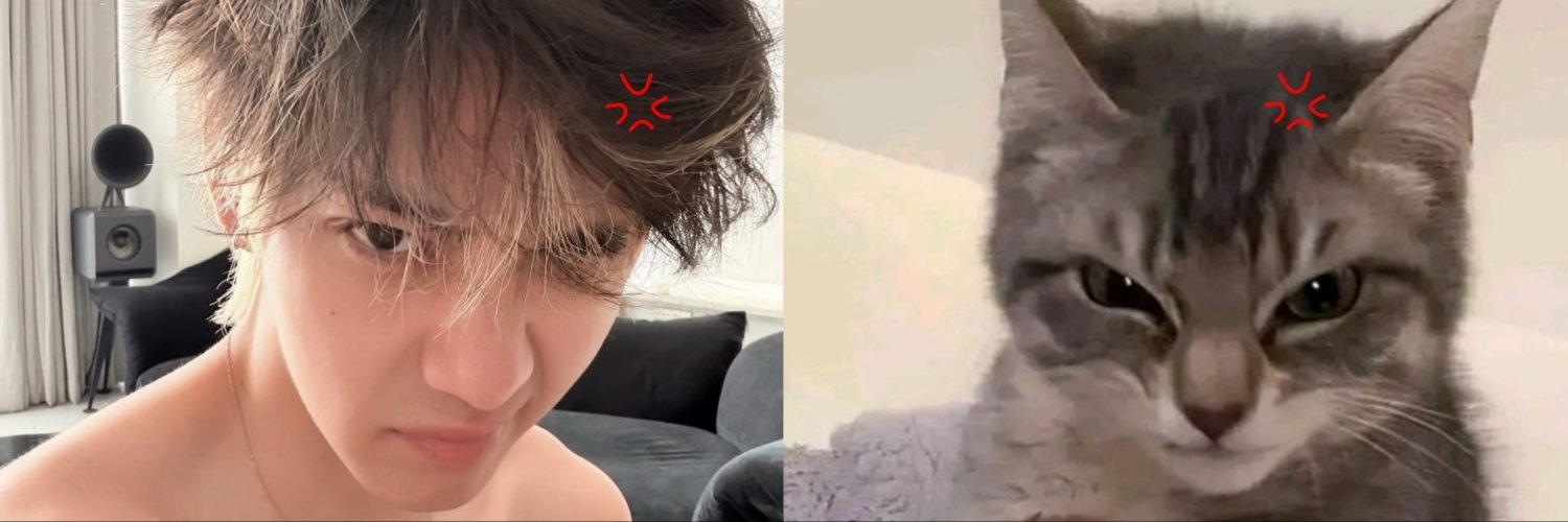 pradaskj's profile banner image