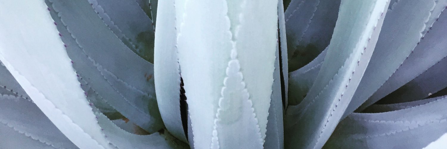 wentworr's profile banner image