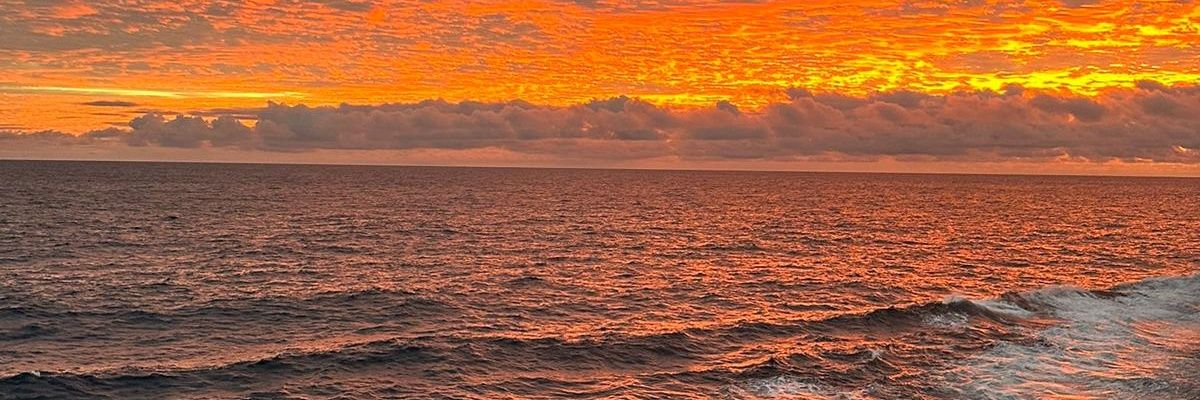 refikkoyuncu1's profile banner image