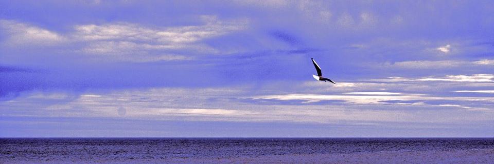 BFraj's profile banner image