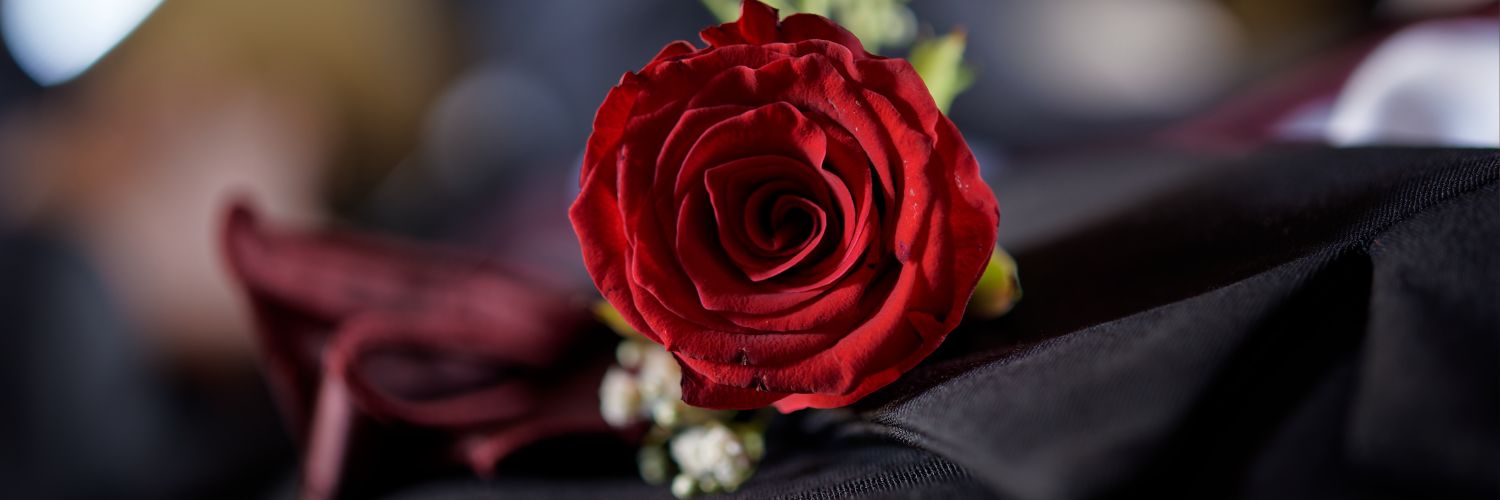 Shawnaay's profile banner image