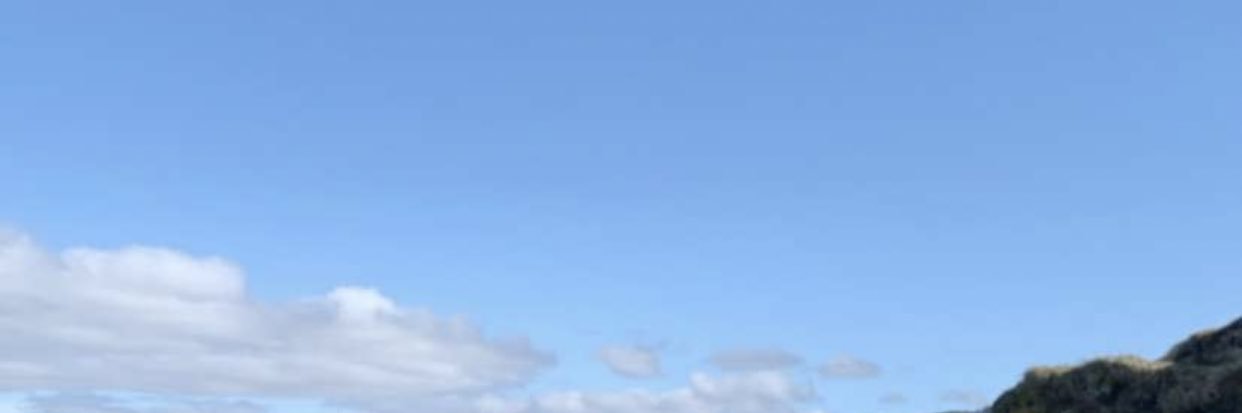 HelmersenFrode's profile banner image
