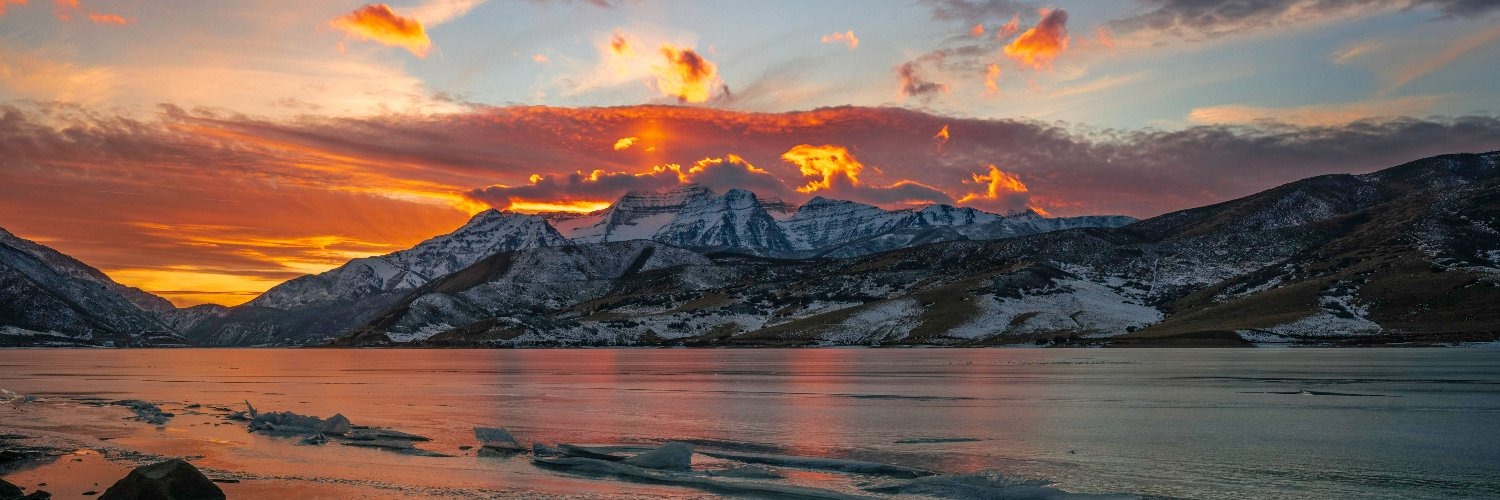 Reed Peterson banner