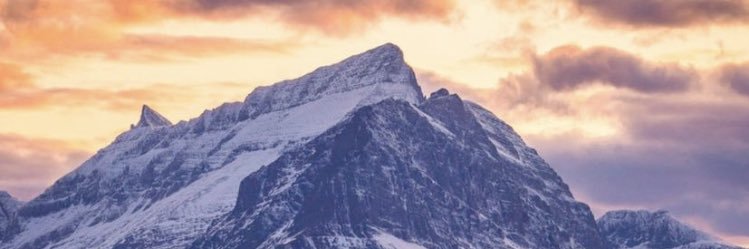 Tom O’Connell banner