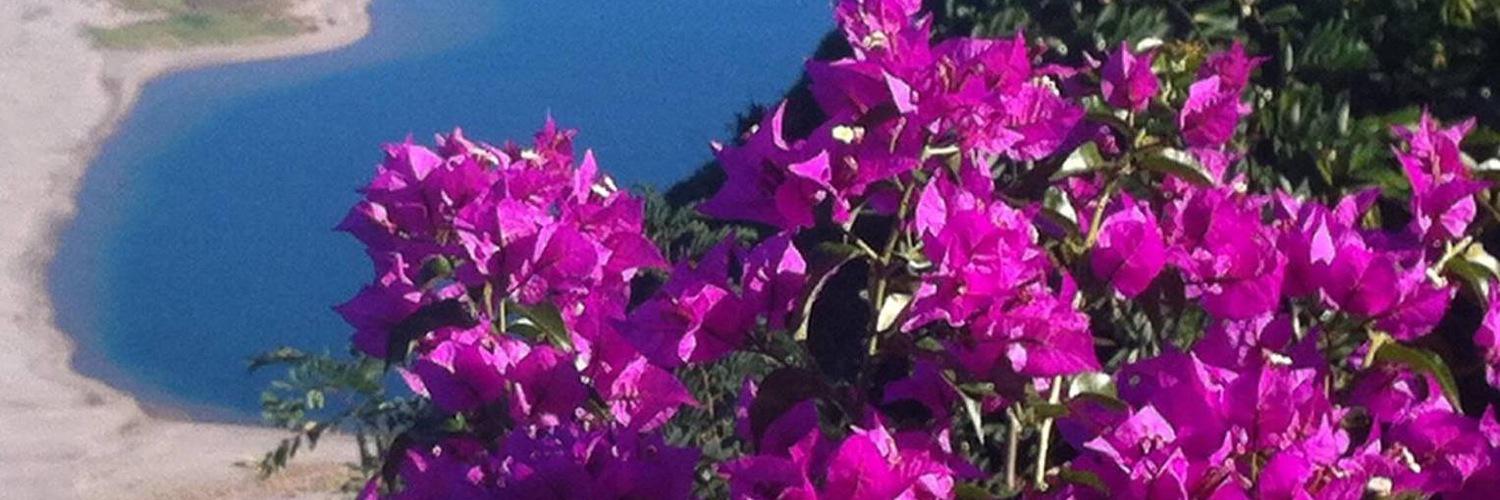 PippoMoroso's profile banner image