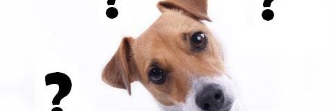 J_aiUneQuestion's profile banner image