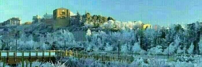 Felipe Casado banner