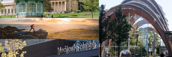 SCHARR_KE Profile Banner