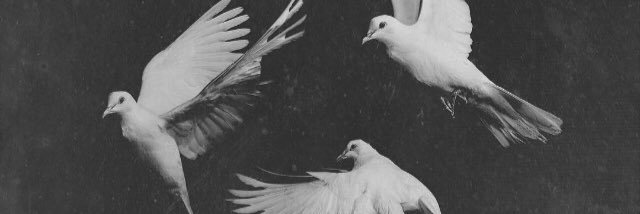 _Kvvam's profile banner image