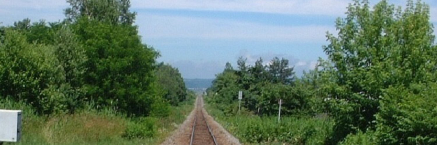 ビカビカねっと(ID#1) banner