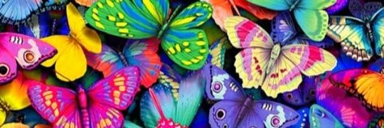 dhebora_live's profile banner image
