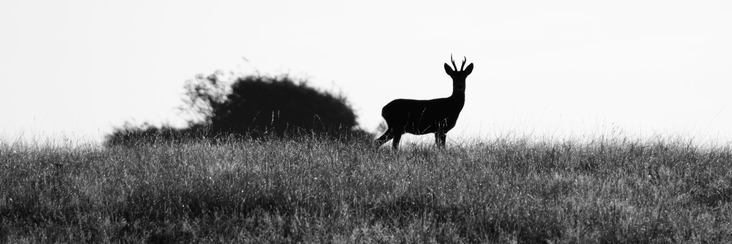 OJoy69's profile banner image