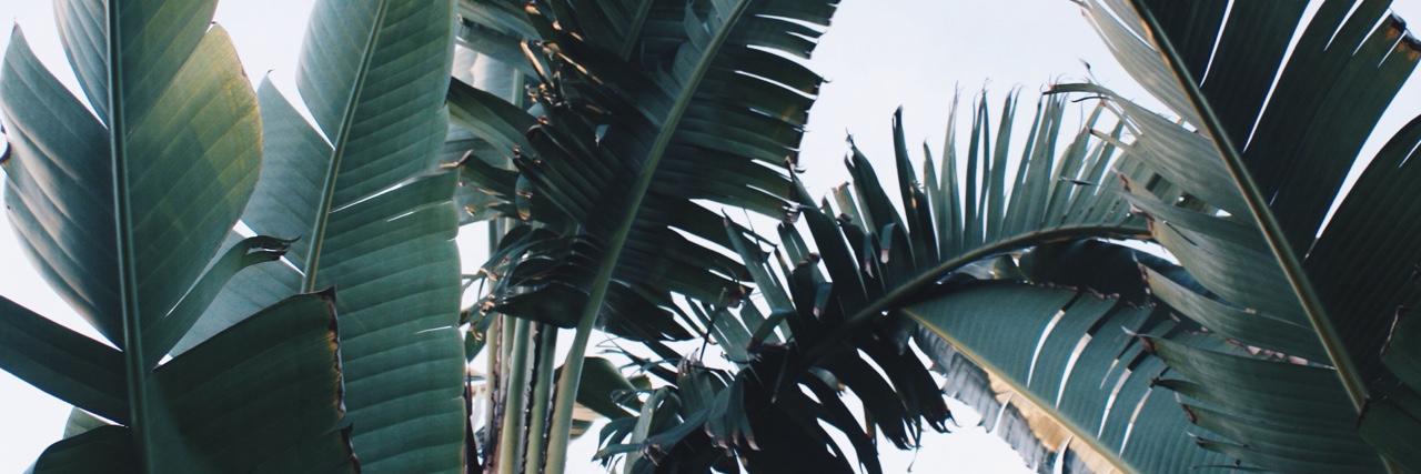 Samjtw's profile banner image