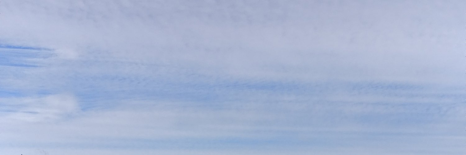 Caro banner