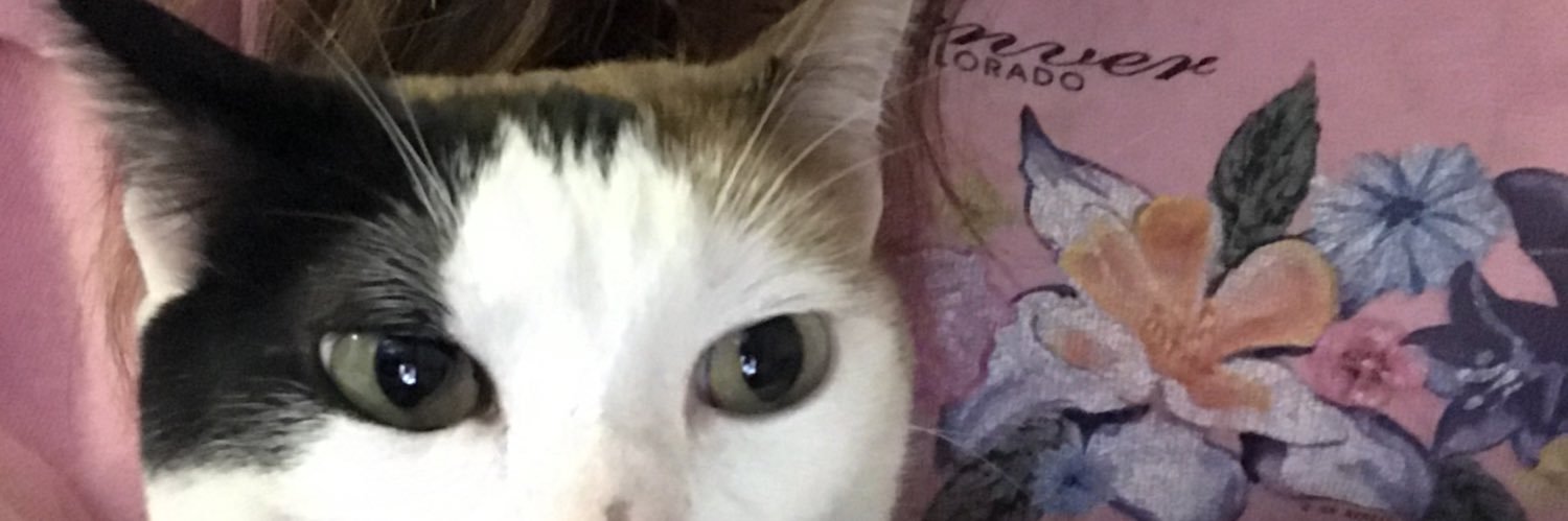 jackie🦻🏼 banner