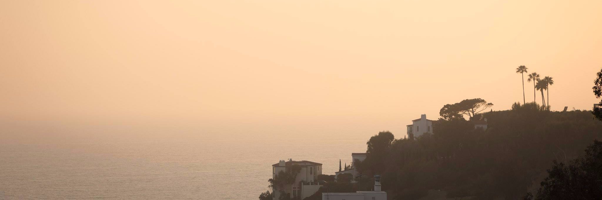 APA Pacific Division banner