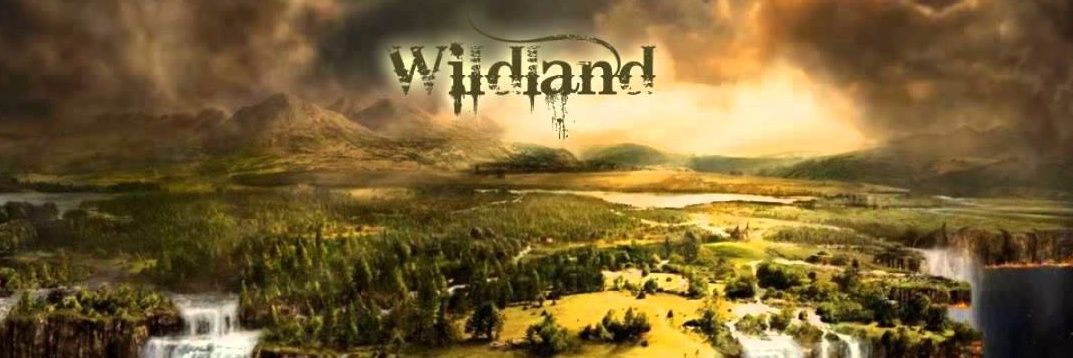 WFestival's profile banner image