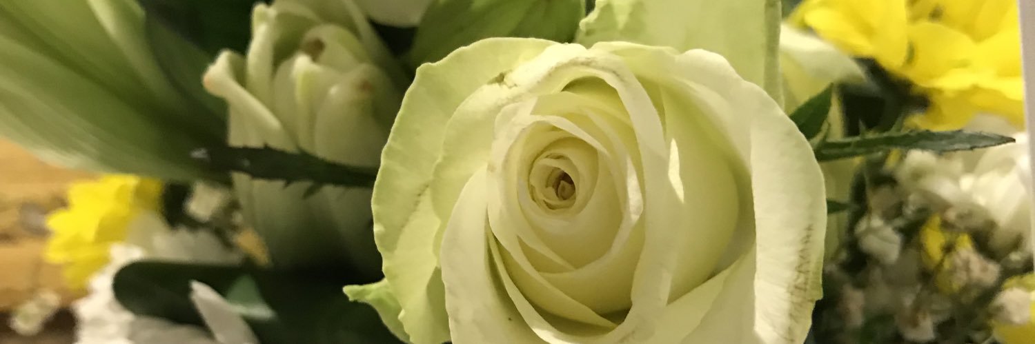 د. سعاد صالح بابقي banner