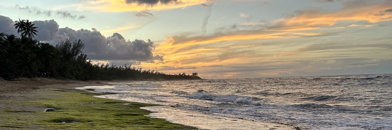 lostinpr's profile banner image