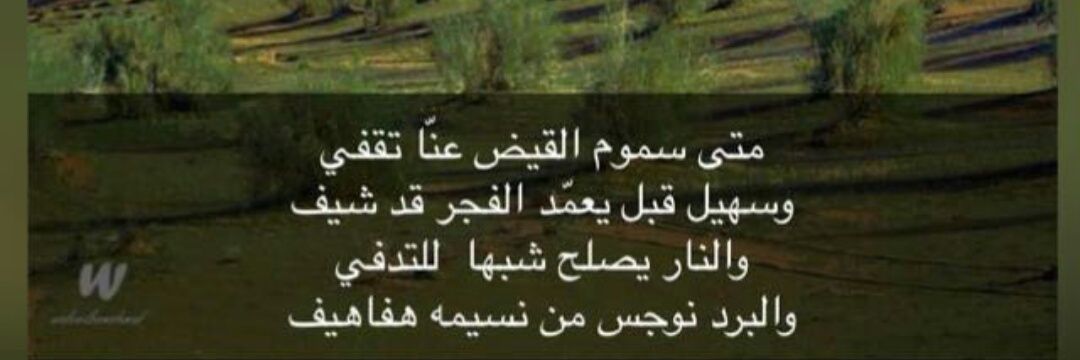 safg68's profile banner image