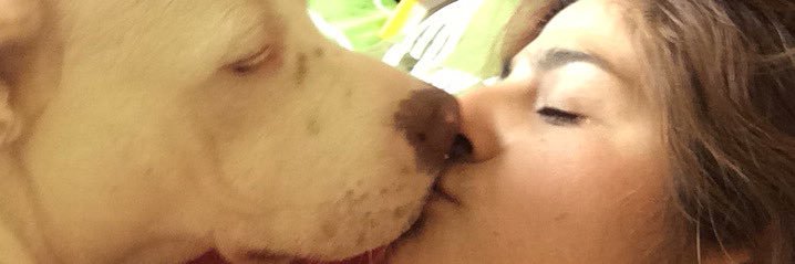 MayZevallos456's profile banner image