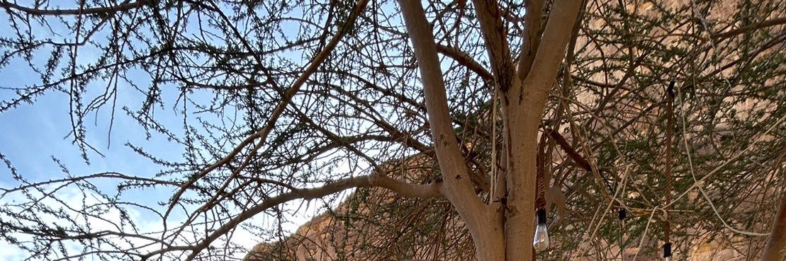 ptrjsw's profile banner image