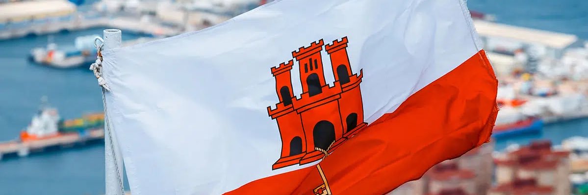 Lewis banner