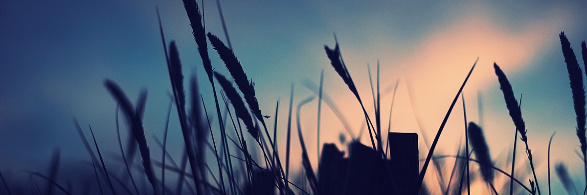 JoelGaAl's profile banner image