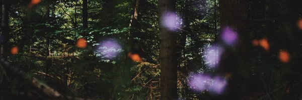 radek_kut Profile Banner