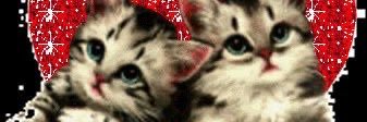MileeRead's profile banner image