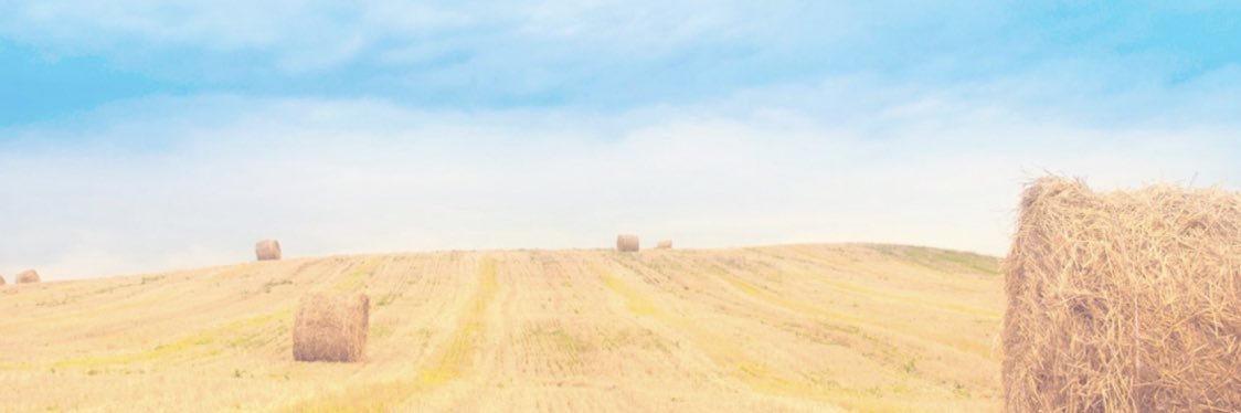 agroprescat's profile banner image