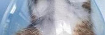 普通のおじさんFK banner