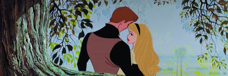 SunflxwerNiall's profile banner image