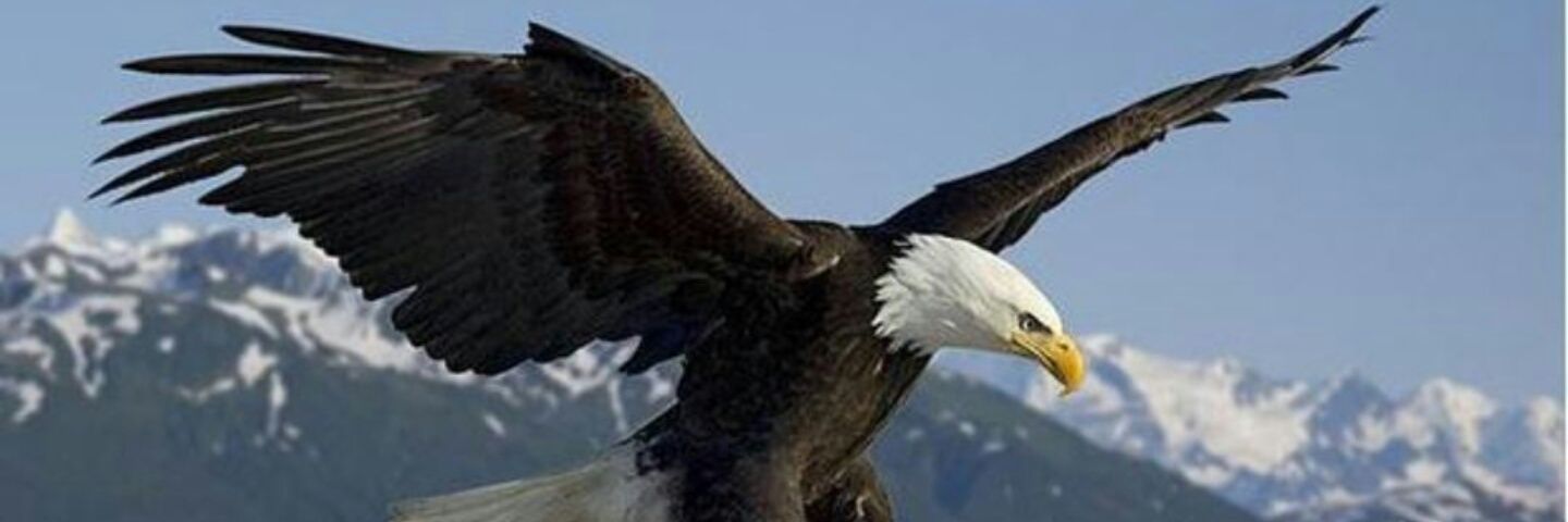 tugberk1502's profile banner image