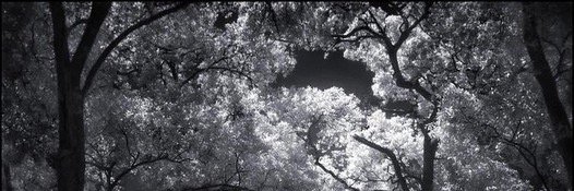 sole_lelle's profile banner image