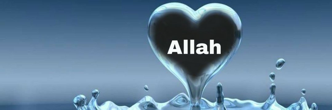 Allahileinsan's profile banner image