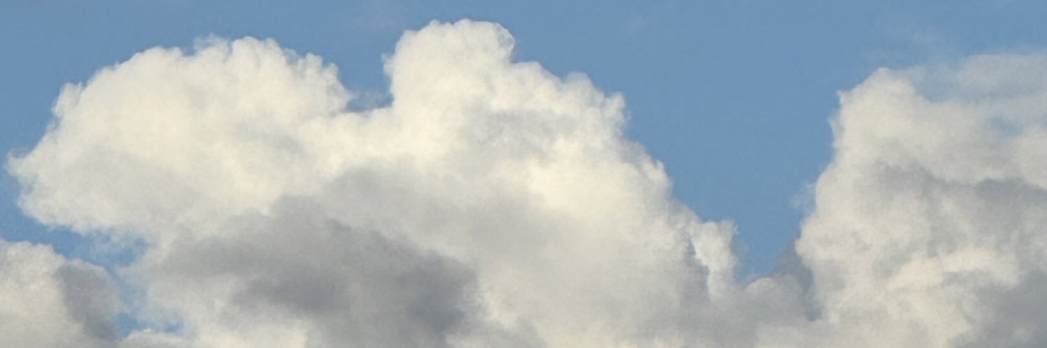 muppettears's profile banner image