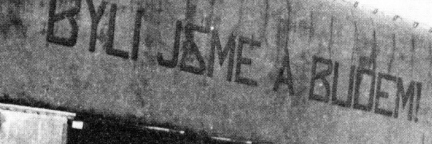 Slavek's banner