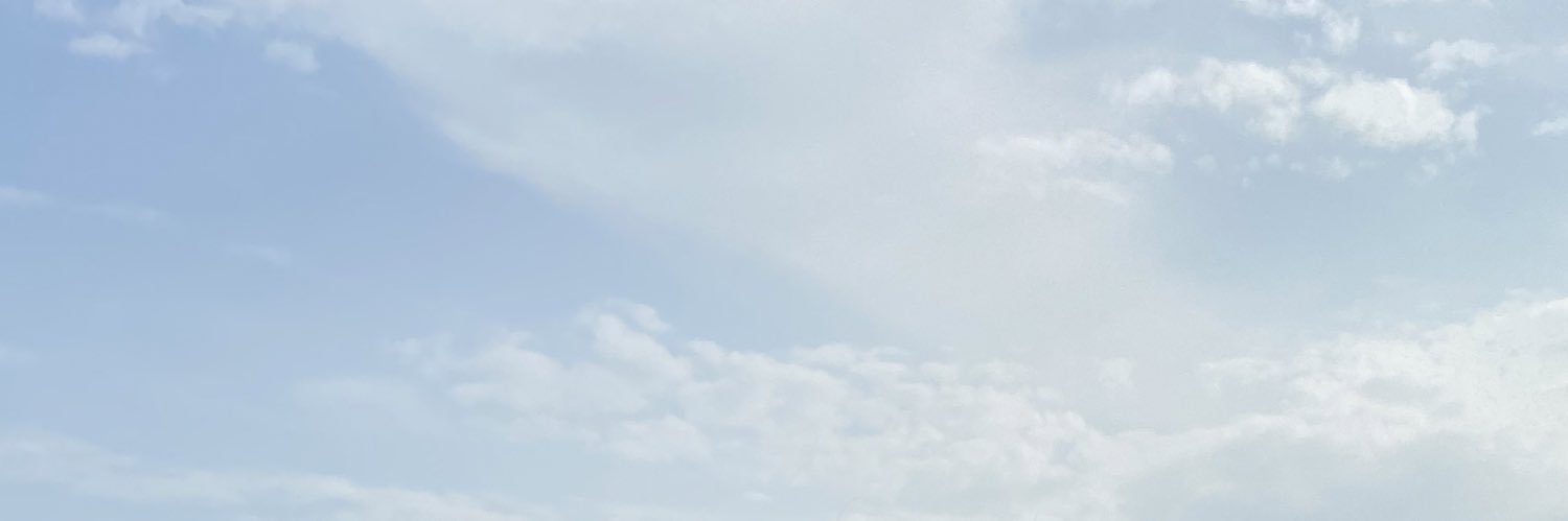 nandisponch's profile banner image
