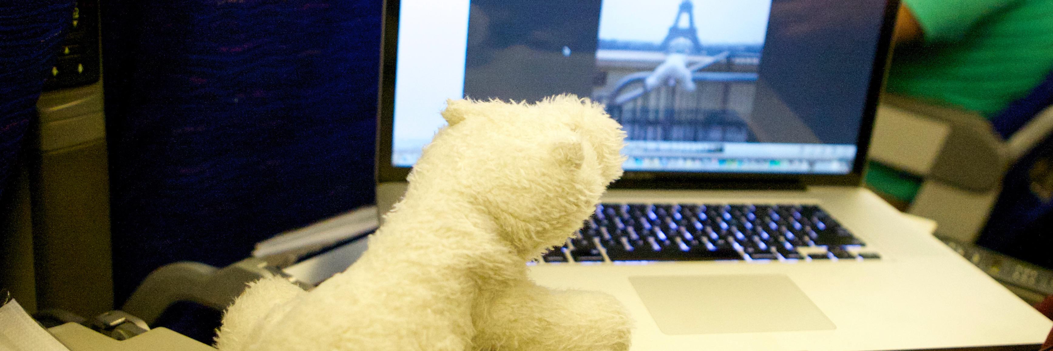 Steve Yanover 🇨🇦 banner