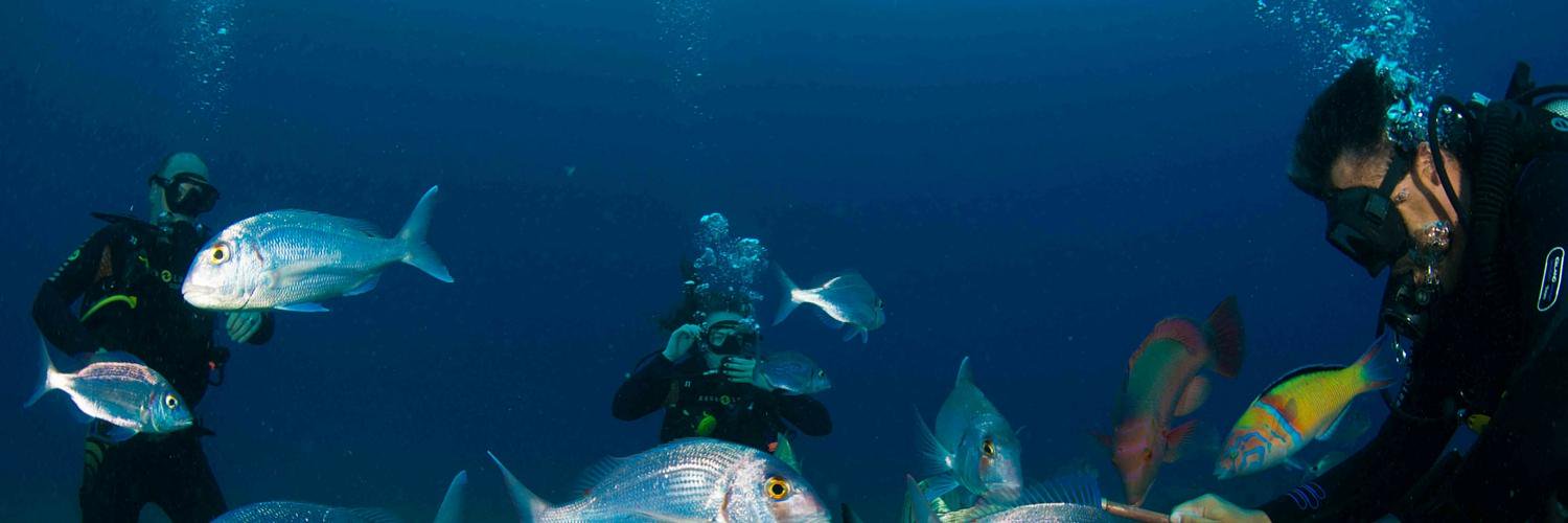 ScubaDivingM's profile banner image