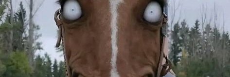 flexy2vybes's profile banner image