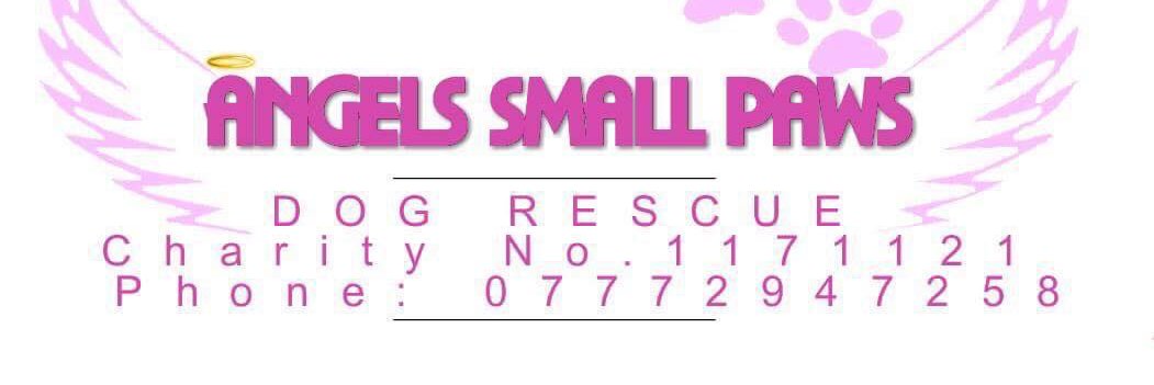 Angels Small Paws banner